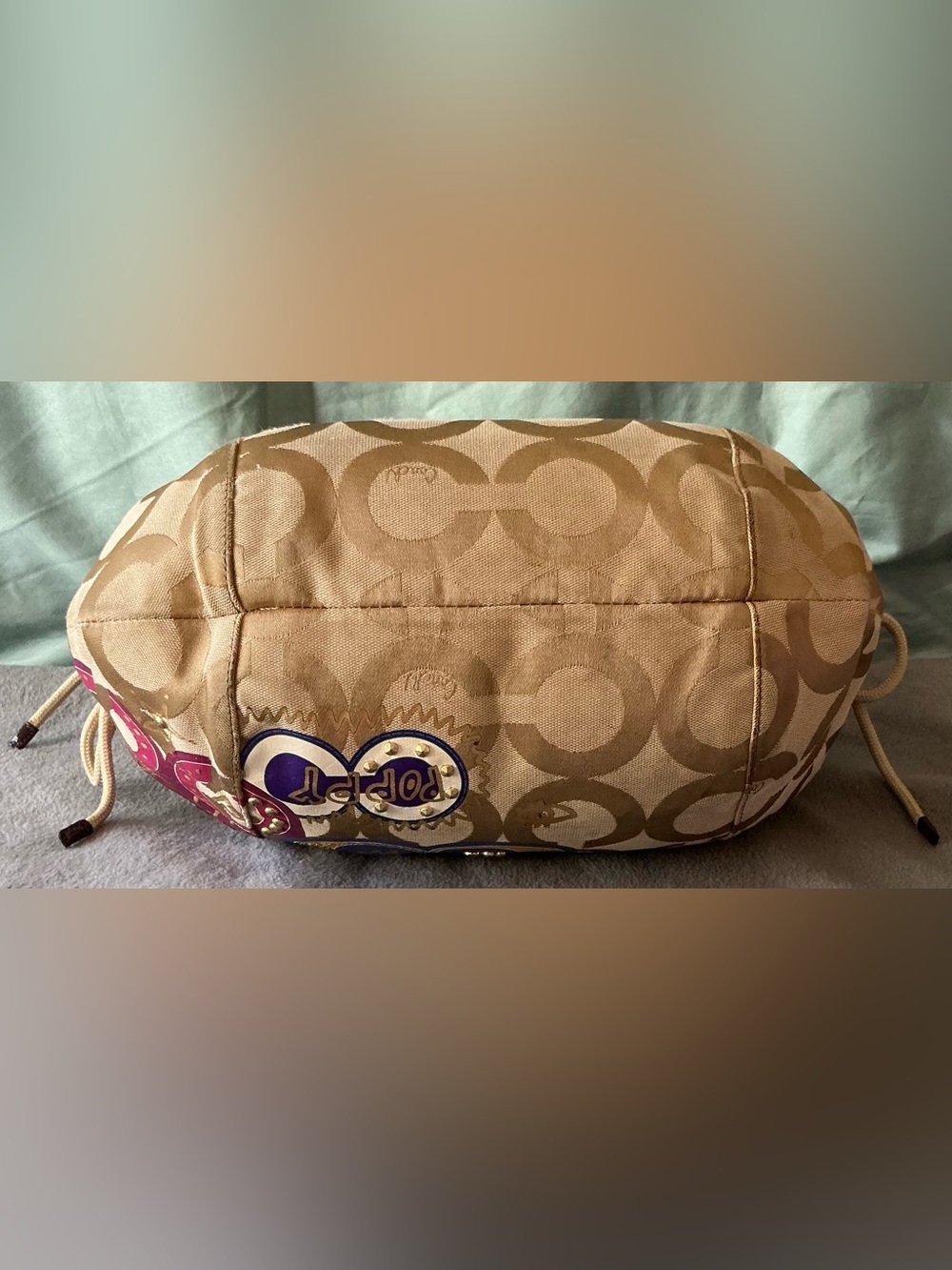 Coach Signature Poppy Jazzy Hobo Bag - Picture 5 of 15